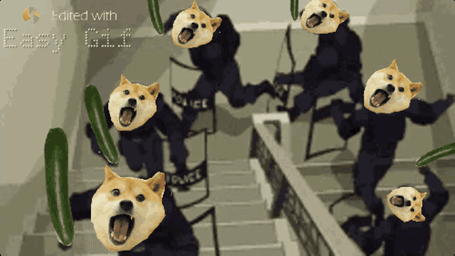 Sofakingdoge GIF