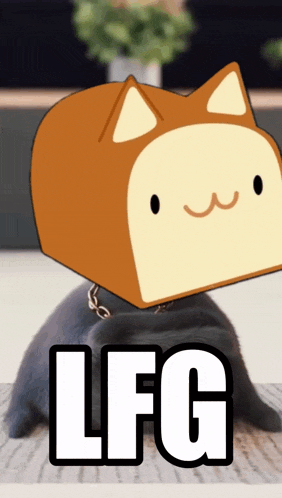 Solana Cat GIF