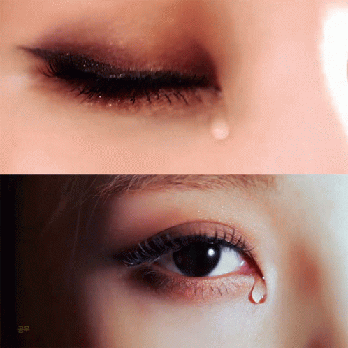 Solar Elyswisnoto GIF