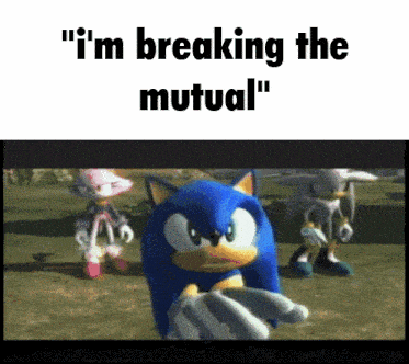 Sonic Sonic 2006 GIF