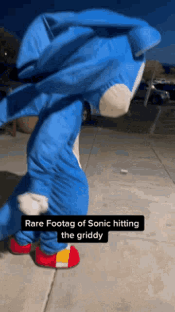 Sonic The GIF
