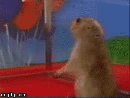 Sopresa GIF