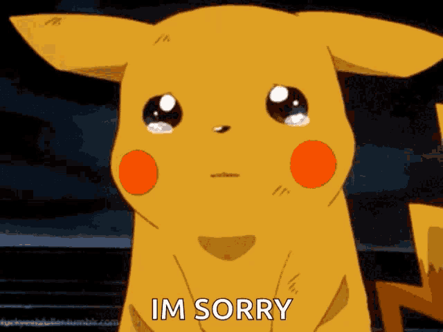 Sorry GIF