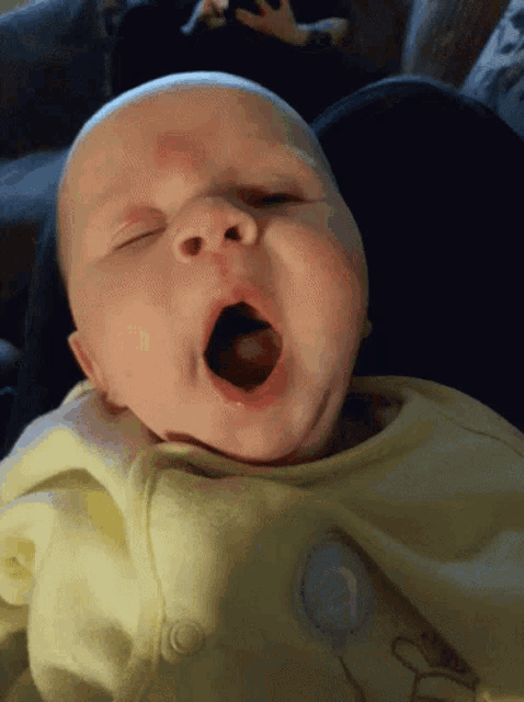 Sorry Yawn GIF