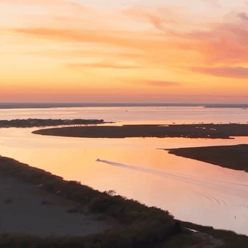 South Carolina Southcarolina GIF