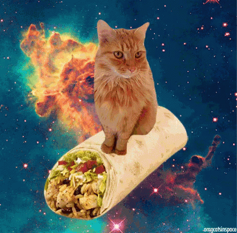 Space Burrito GIF