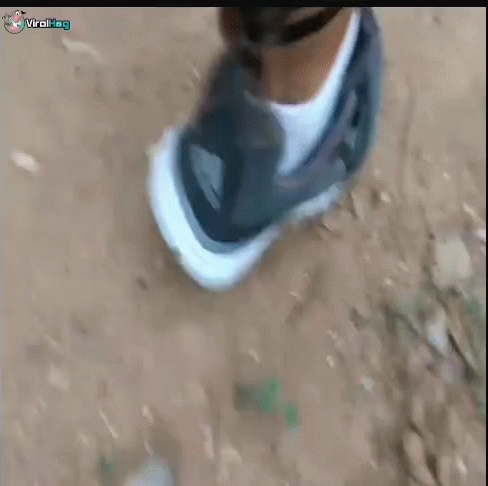 Spider Leg GIF