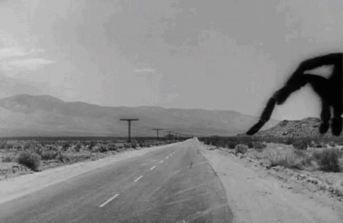 Spider Walking GIF