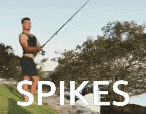 Spikes Fisher GIF