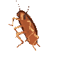 Spin Dancing Sticker