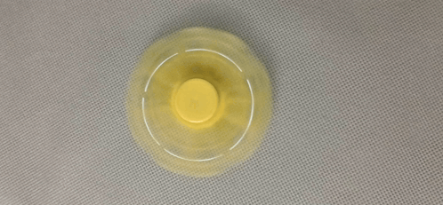 Spinner Fidget GIF