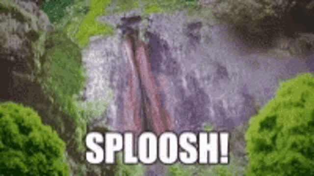 Sploosh Ace GIF