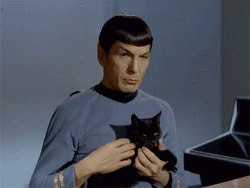 Spock Star Trek GIF