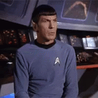 Spock Wtf GIF
