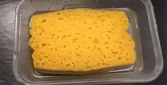 Sponge In Reverse GIF