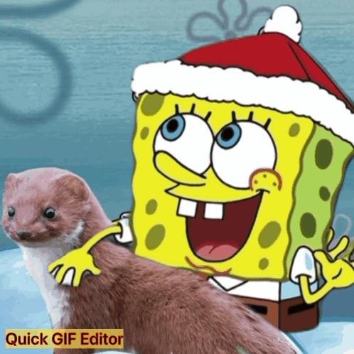 Spongebob Spongebob Meme GIF