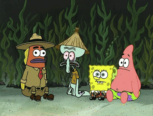 Spongebob Spongebob Squarepants GIF