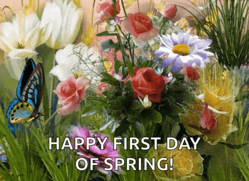 Spring GIF
