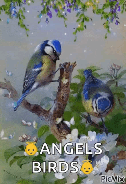 Spring GIF