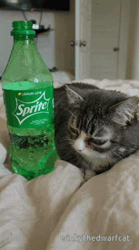 Sprite Drink GIF