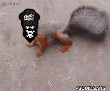 Squid Squad Ski Mask GIF