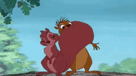 Squirrel GIF