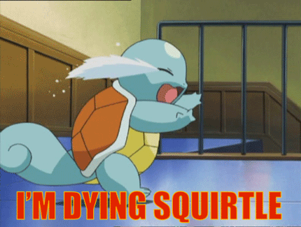 Squirtle Pokemon GIF