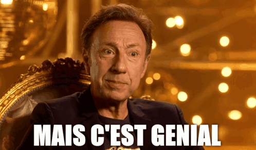Stéphane Bern GIF