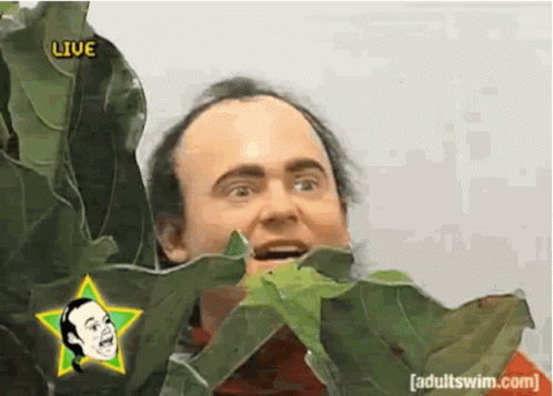 Stalk GIF
