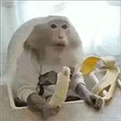 Stan Twitter Banana GIF