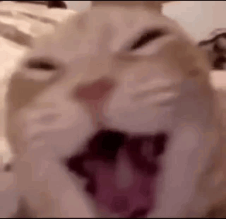 Stan Twitter Reaction Meme GIF