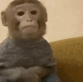 Stan Twt Silly GIF