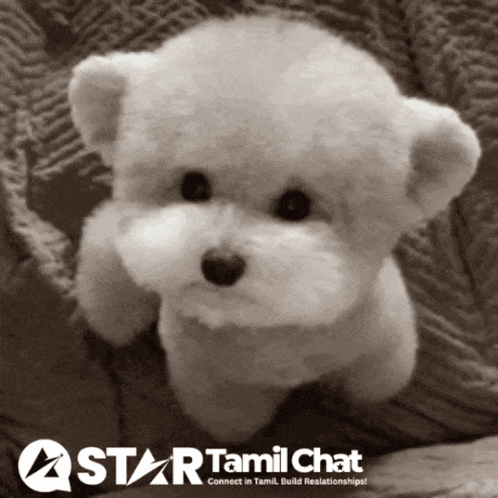 Star Tamil Chat Sanjay Chat GIF