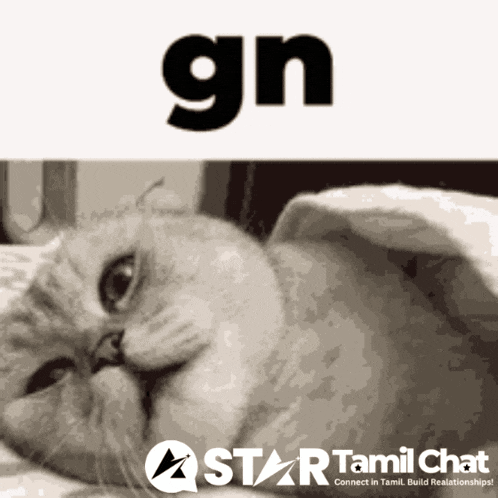 Star Tamil Chat Sanjay Chat GIF
