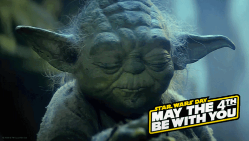Star Wars Day Yoda GIF