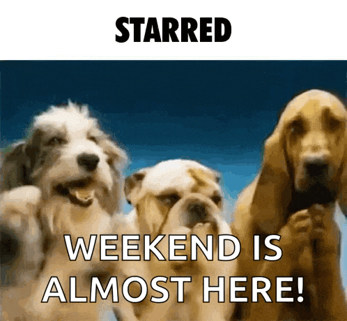 Starred Dogs Clapping GIF