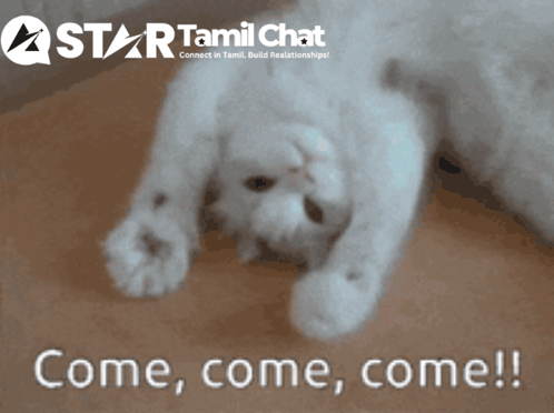 Startamilchat Sanjay Chat GIF