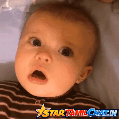Startamilchat Sanjay Chat GIF