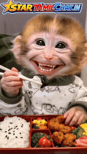 Startamilchat Sanjay Chat GIF