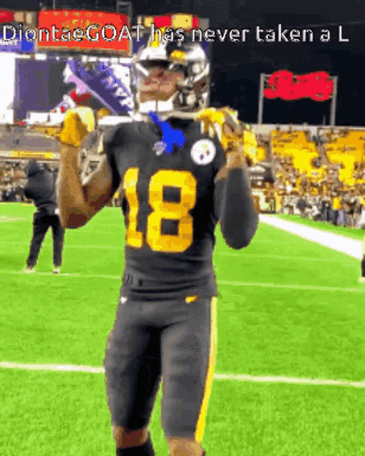 Steelers Pittsburgh GIF
