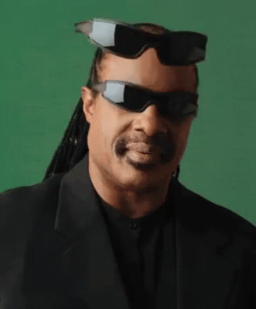 Stevie Wonder Deal With It GIF