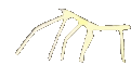Stickbug Stuickbugged Sticker