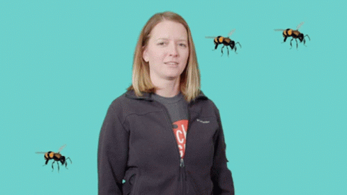 Stickergiant Bees GIF
