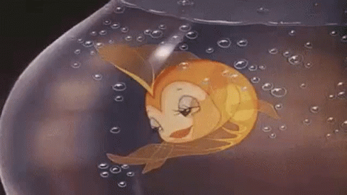 Stillesque GIF