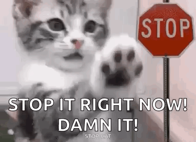 Stop Funnyanimal GIF