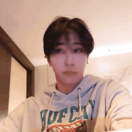 Stray Kids Skz Hug GIF