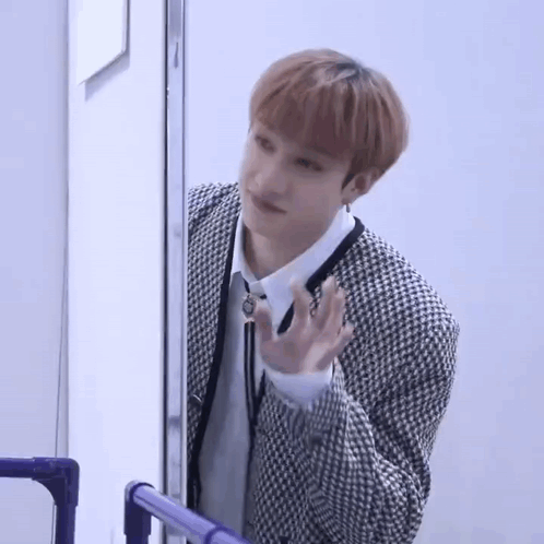 Stray Kids Skz GIF