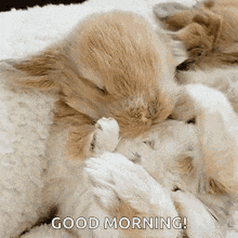 Stretch GIF