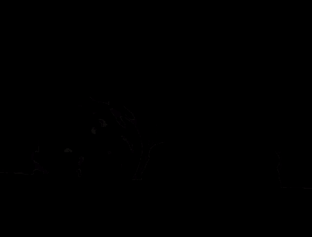Strike Bowling GIF