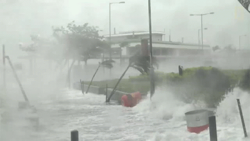 Strong Waves World Meteorological Day GIF
